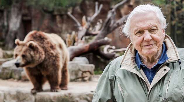 Luontohetki: Attenboroughn erikoiset